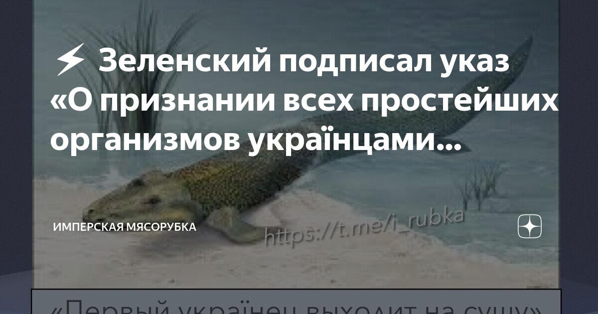 организм радуется что это закончилось. эндорфины после тренировки. организм человека 4 класс окружающий мир. распределение живых организмов в биосфере. чем проще организм тем.