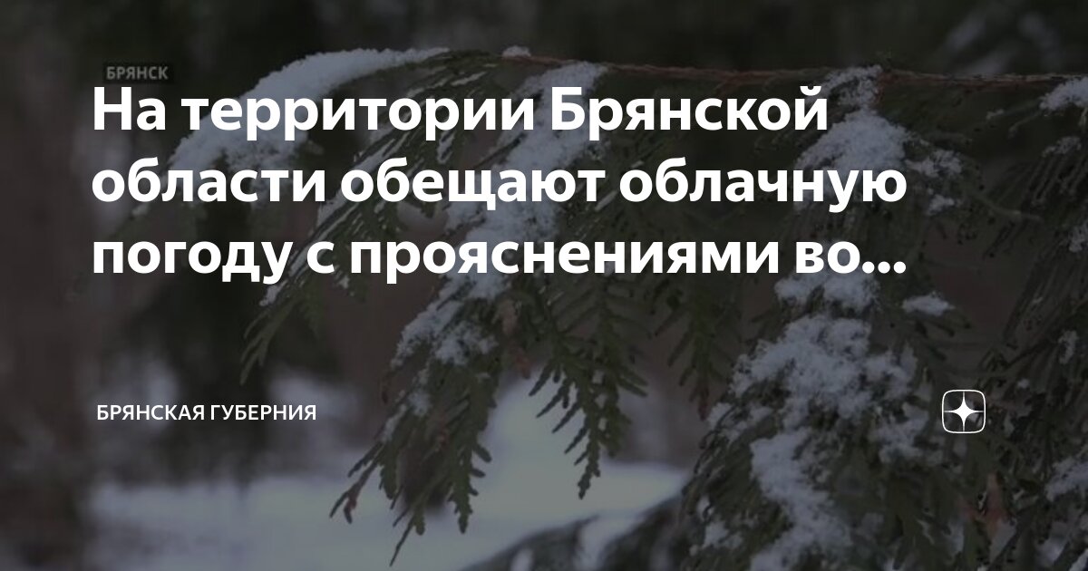Погода новоселки брянская обл