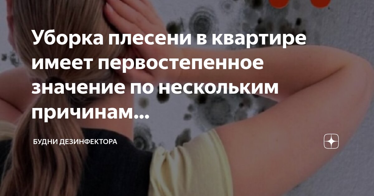 Значение несколько это сколько. Значение несколько это сколько