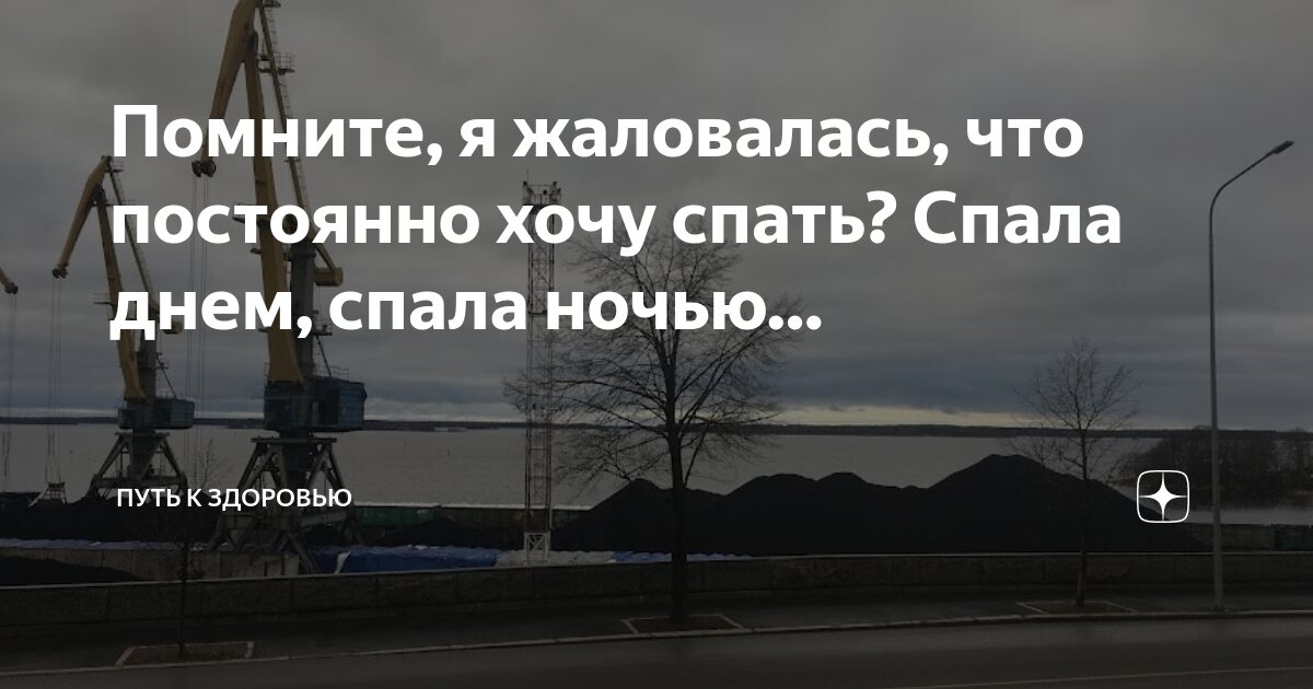 что не хватает в организме если хочется сладкого. витамины при утомляемости и сонливости. витамины от усталости и слабости. хочется сладкого чего нехаатает в организме. что не хватает организму.