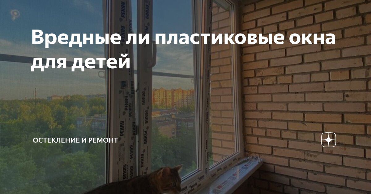 через окно что ли. коты застревают в окне на проветривание. страшный вид из окна. через окно что ли. кошка на окне.