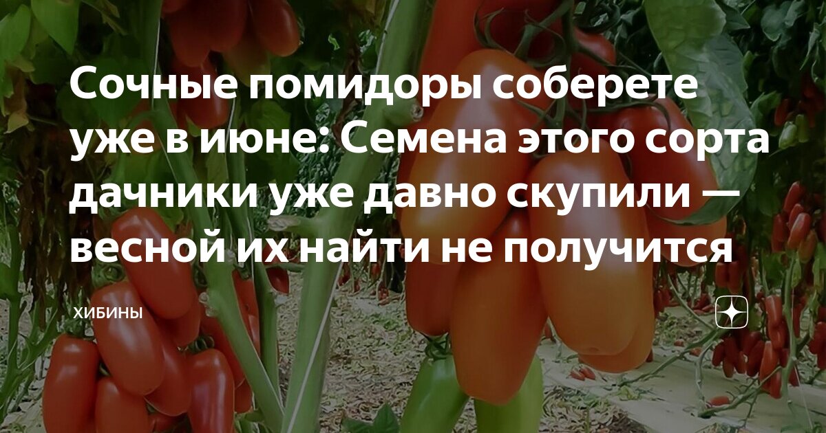 на даче. деревенский огород. пермакультура на 4 сотках. планировка сада и огорода. где находится дачник.