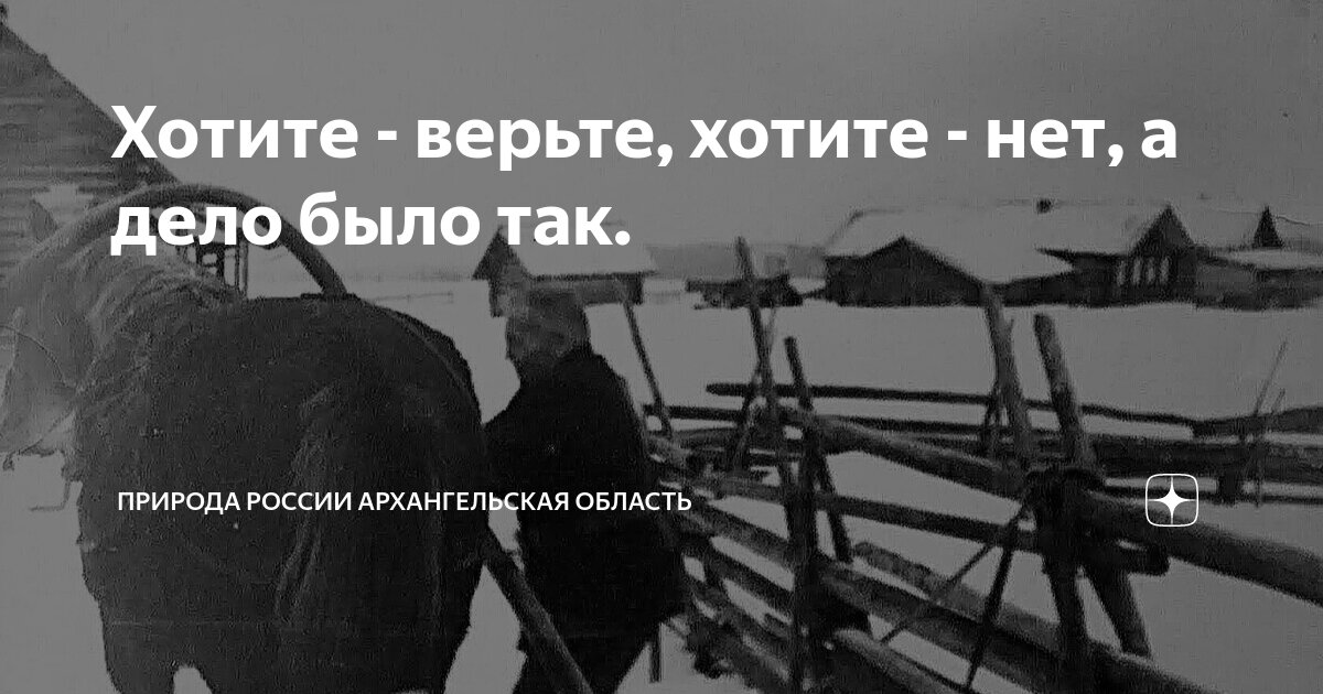 Галя хочу жрать. Я хочу есть. А кушать хочется всегда. Стикеры приколы. Не хочу есть проблемы.