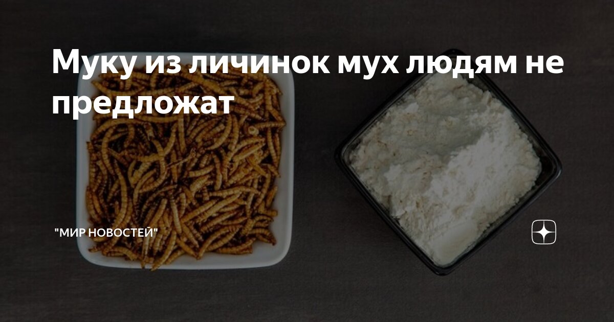 плодовая мушка дрозофила личинка. Stratiomyidae личинки. крыска личинка мухи-пчеловидки. личинки на прозрачном фоне. личинка мухи 6 букв.