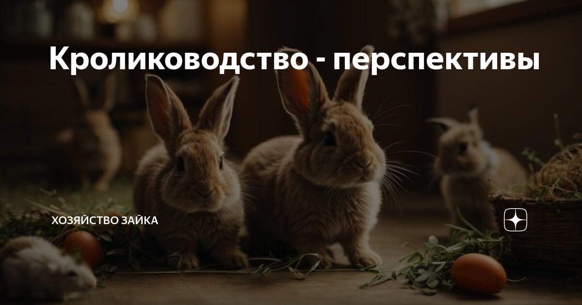 зайчик потерялся. зайчик потерялся. потерявшийся зайка. герман, ася. сказка про зайчика.