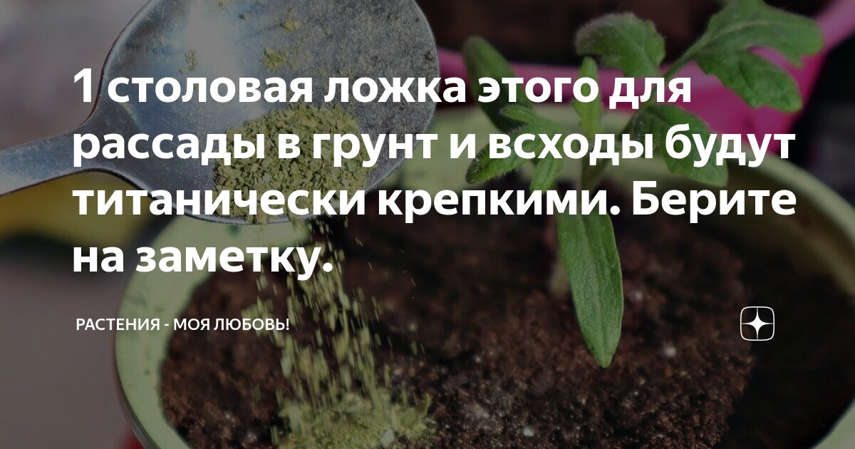 Грунт для посева семян на рассаду