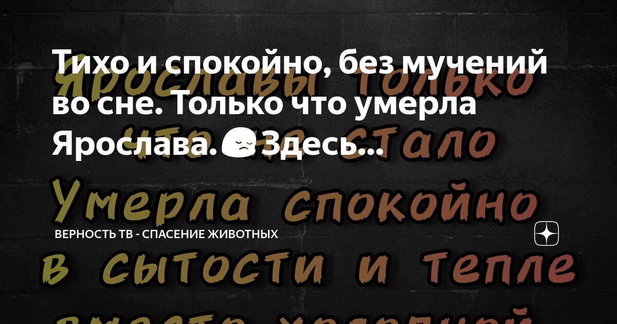 к чему снится умерший танцующий. к чему снится умерший танцующий. к чему снится умерший танцующий. к чему снится умерший танцующий. к чему снится покойники во сне.