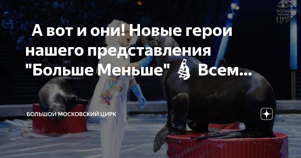 Цирк больше меньше какие животные. Цирк больше меньше какие животные