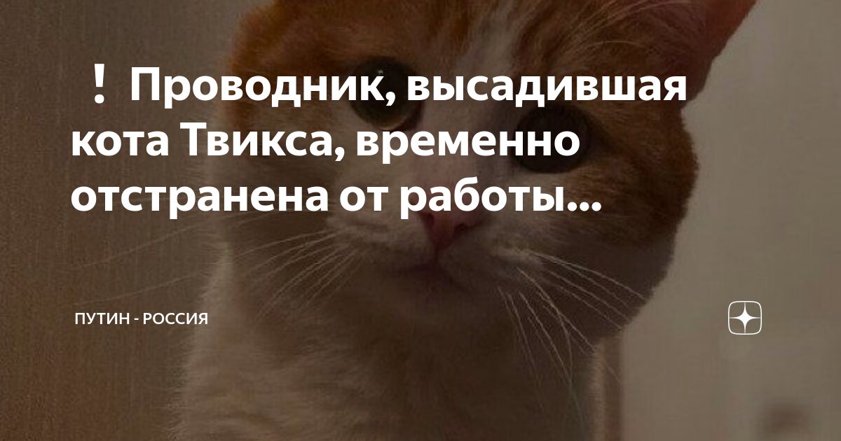 как пишется россия. какое слово всегда пишется с большой буквы. заглавная буква в словах. русь пишется с большой. правописание имен собственных.