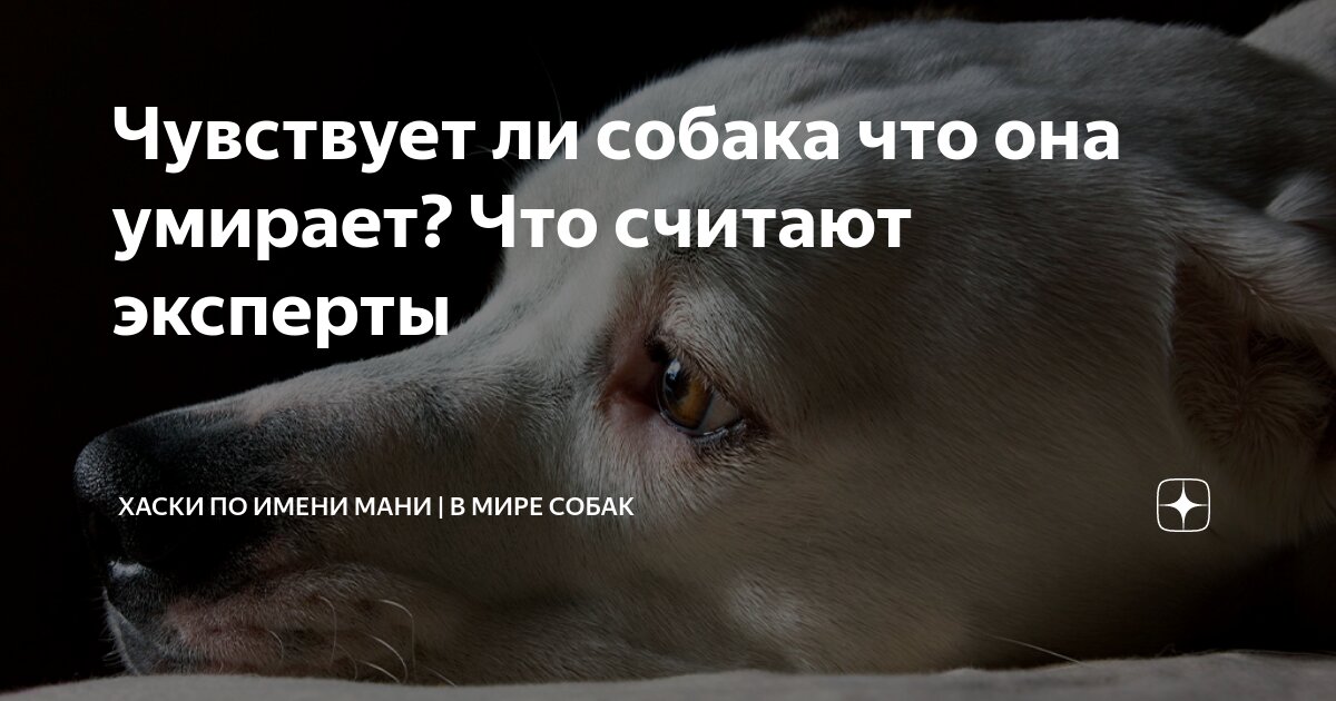 Стихи об ушедших друзьях. Уходит в небо. Стихи о смерти близкого человека. Верить ли умершим. Молитва за ушедших.