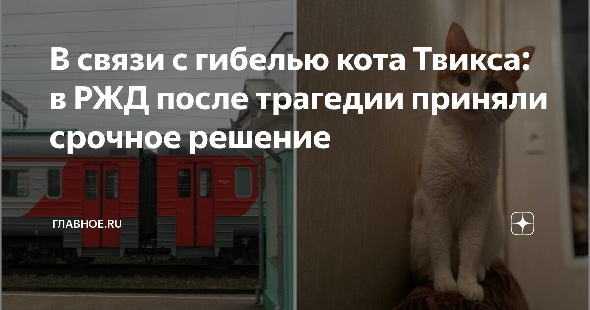 Люди в поезде. Пассажирский поезд. Сход с рельсов вл80. Железнодорожный транспорт это обж. Классификация номеров поездов.