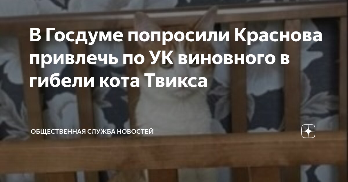 Порядок привлечения депутата к административной ответственности. Ответственность депутата местного самоуправления. Мандат депутата государственной думы является. Общий порядок привлечения к административной ответственности. Срок полномочий депутатов государственной думы.