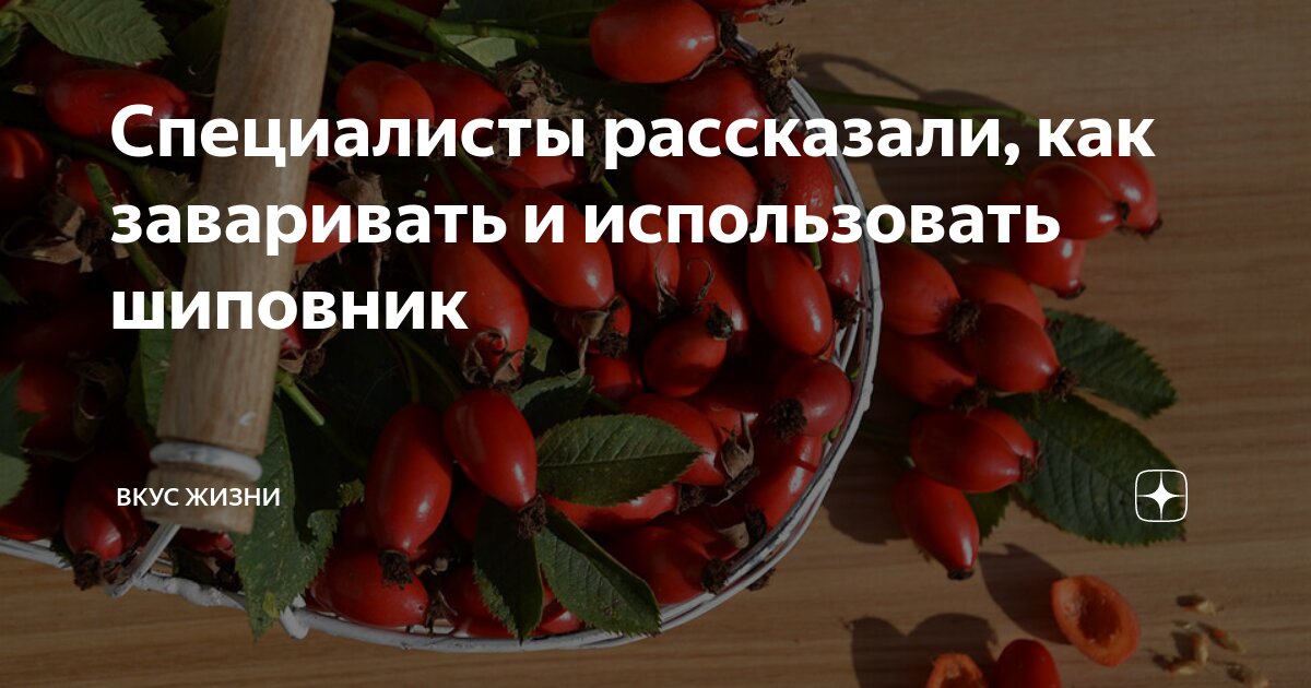 как заваривать шиповник. шиповник мочегонное средство. характеристика лекарственных свойств шиповника.