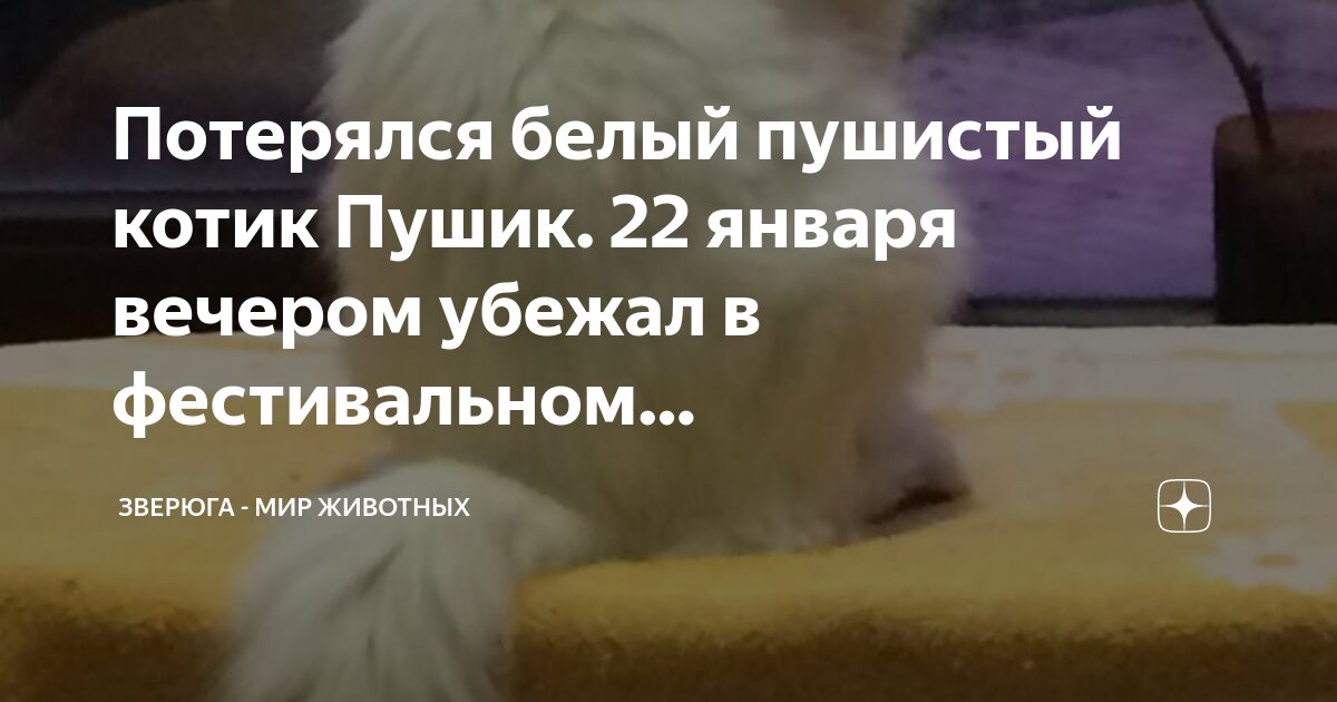 потерялся я убегаю тебя прости. я тебя отпускаю. отпусти. я отвыкаю от тебя стихи. я потерял тебя.