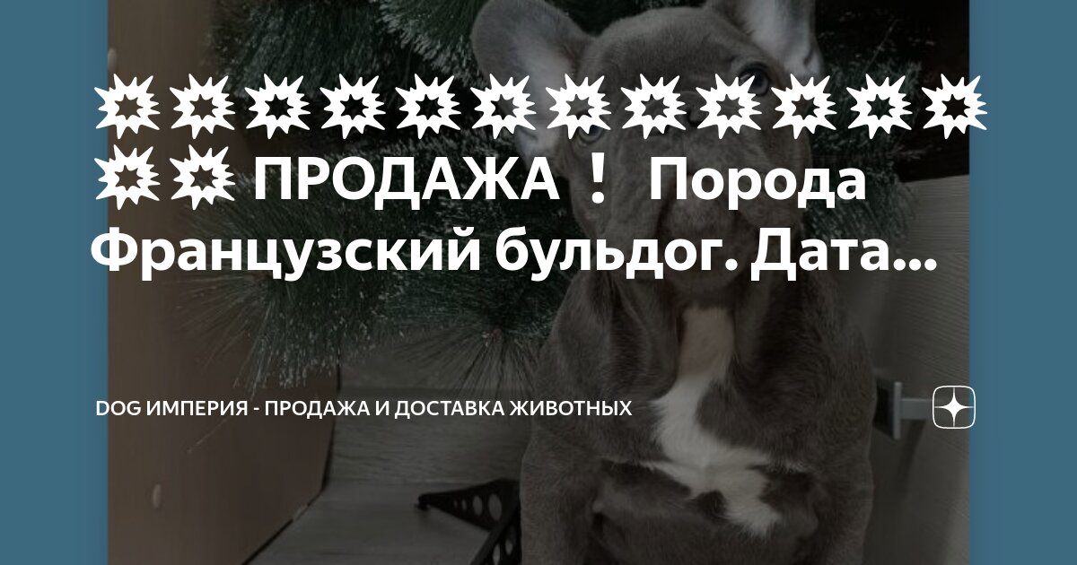 гороскоп. 8 августа дата рождения. 8 августа дата рождения. интересное про знаки зодиака. таблица знаков зодиака по месяцам совместимость.
