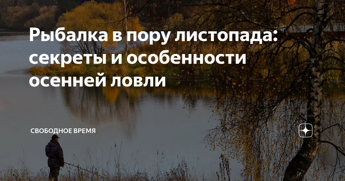 осенний листопад аккорды. ноты joseph kosma - autumn leaves. слова и аккорды песен под гитару. аккорды песни осень лицей. ддт последняя осень аккорды для гитары.