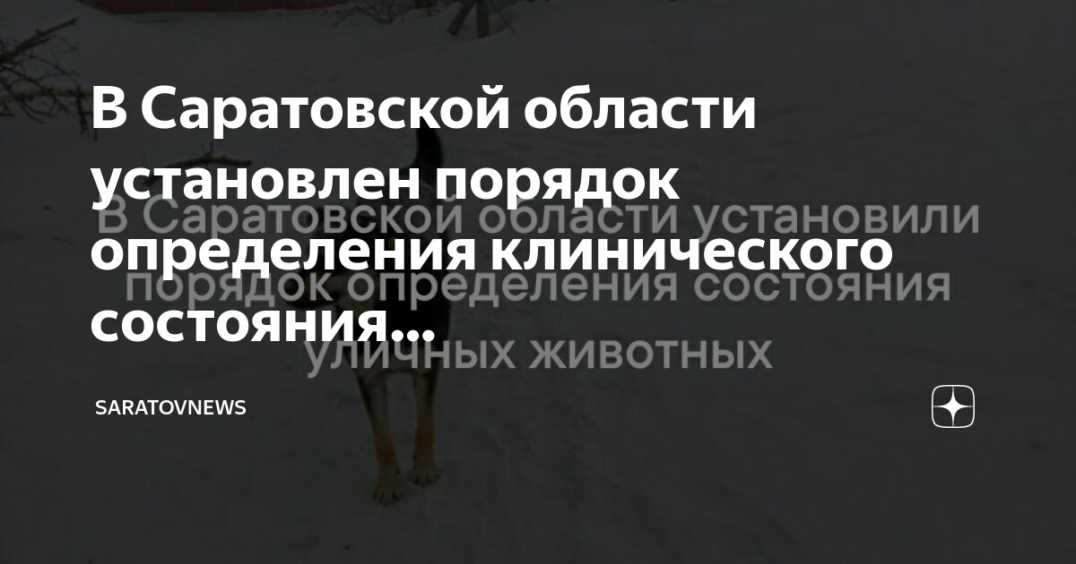 Установление порядка следования. Установление порядка следования. Установление порядка следования. Установление порядка следования. Установление порядка следования.