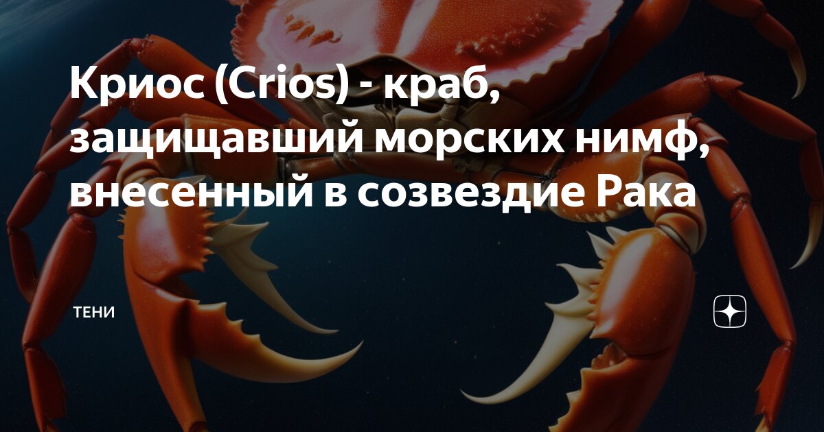 Краб защищается. Амурский краб. Краб с большой клешней. Крабы. Смешной краб.