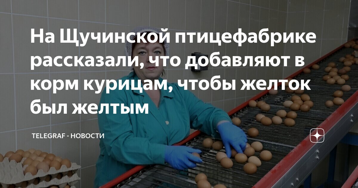 Желтый желток однокоренные. Желток железо желтый лишнее слово. Песочница корень слова. Однокоренные слова. Желтый желток однокоренные.