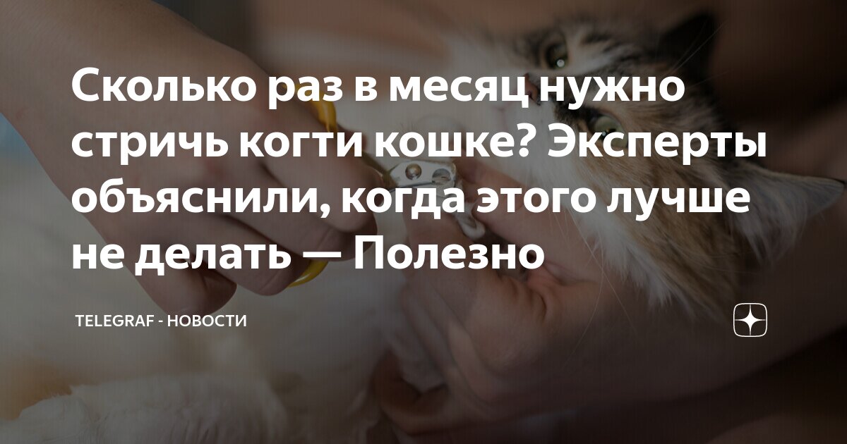 10 раствор глюкозы флакон 400 мл. раствор рингера локка капельница. раствор глюкозы 5 процентный. раствор хлорида натрия 0,9% (изотонический, физиологический). рингер раствор для капельниц.