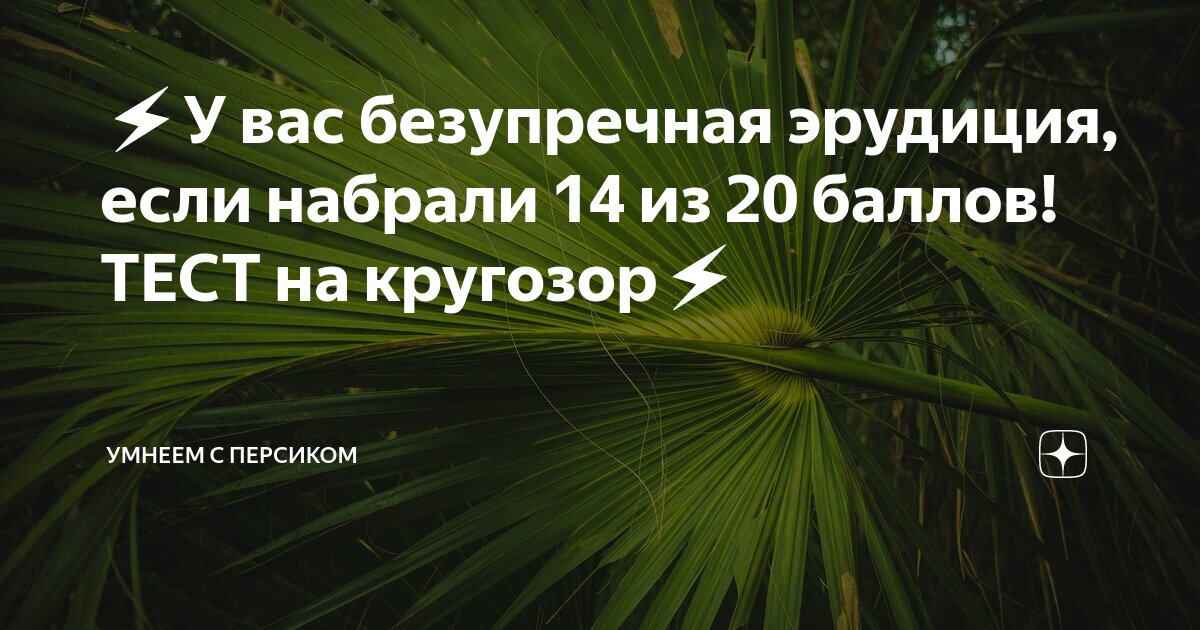 Тесты на эрудицию умнеем с персиком