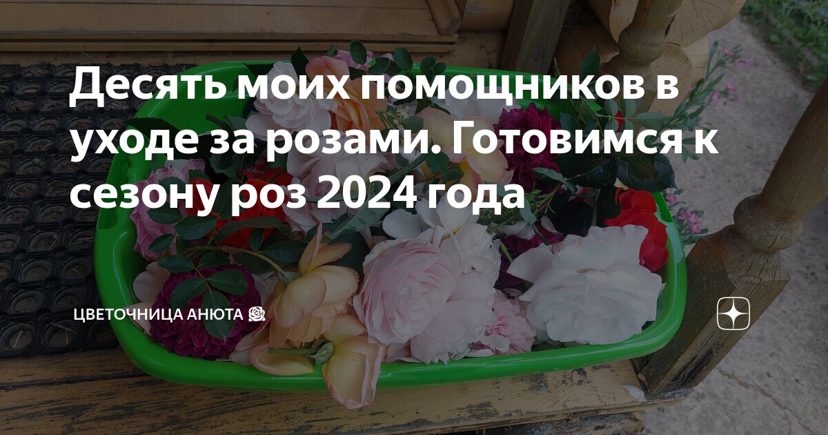 Цветочница анюта последние публикации