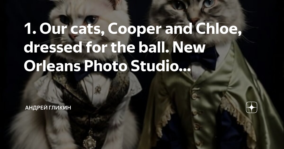 Cyber cat studio karma.