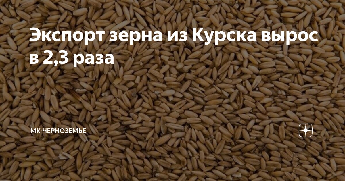 укажите зерновую культуру выращиваемую в черноземье. сельское хозяйство сельское хозяйство воронежской области. сбор урожая инфографика. апк черноземье. полеводство воронежской области.