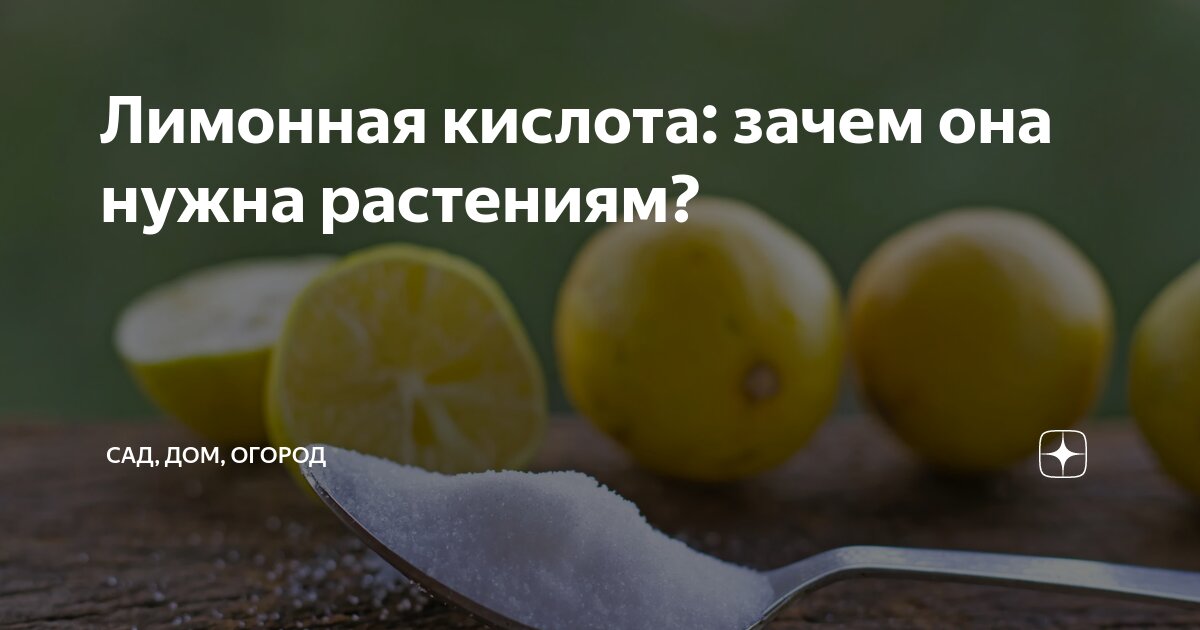 Использование лимонной кислоты. Нужно ли добавлять лимонную кислоту. Лимон лимонная кислота для ногтей. Лимонная кислота применение. Лимонная кислота применение.