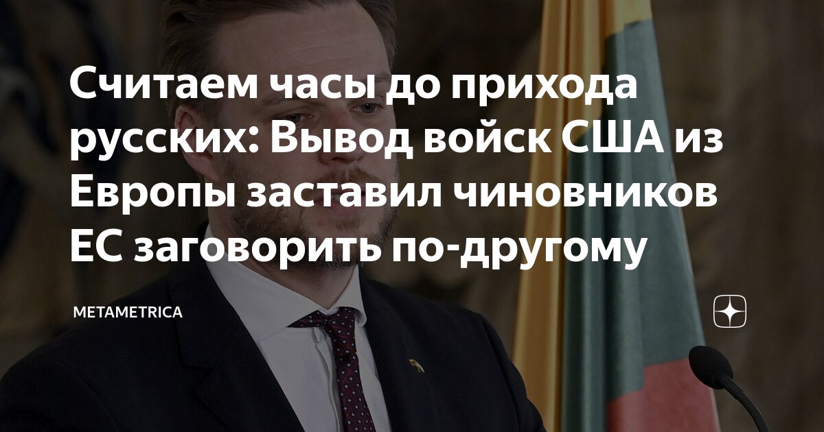 Раздел сведения о доходах пример. Раздел сведения о доходах. Справка о доходах бк. Иные доходы госслужащего. Иные доходы госслужащего.
