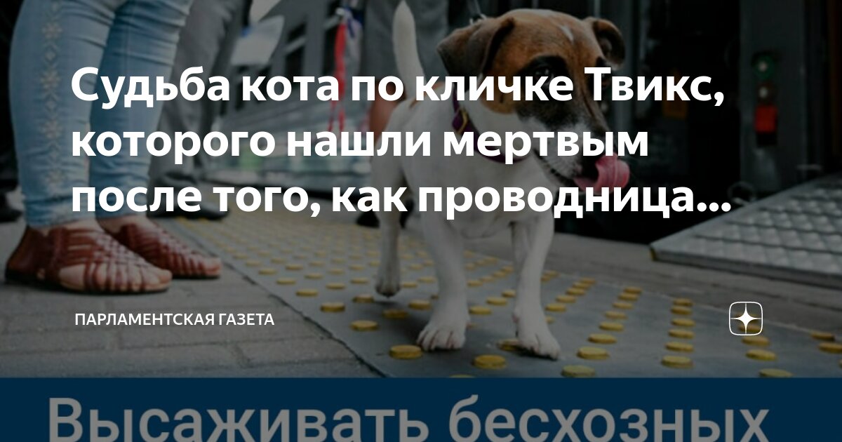 Судьба искать и находить. Артур шоди 3 дороги 3. Выбор своего пути. Красивые цитаты про судьбу. Управление реальностью.