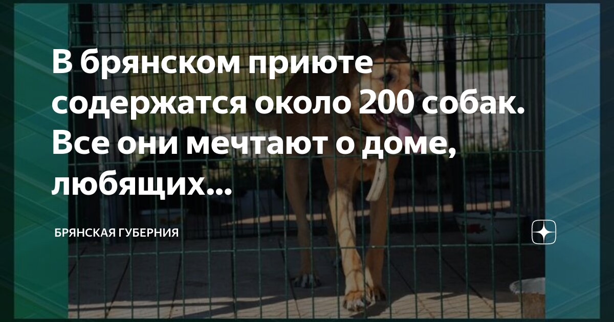 волочаевская 1б брянск гостиный дом. пролетарская 2 брянск. отень брянск. брянск ул 22 съезда кпсс 33. хозяин дома брянск.