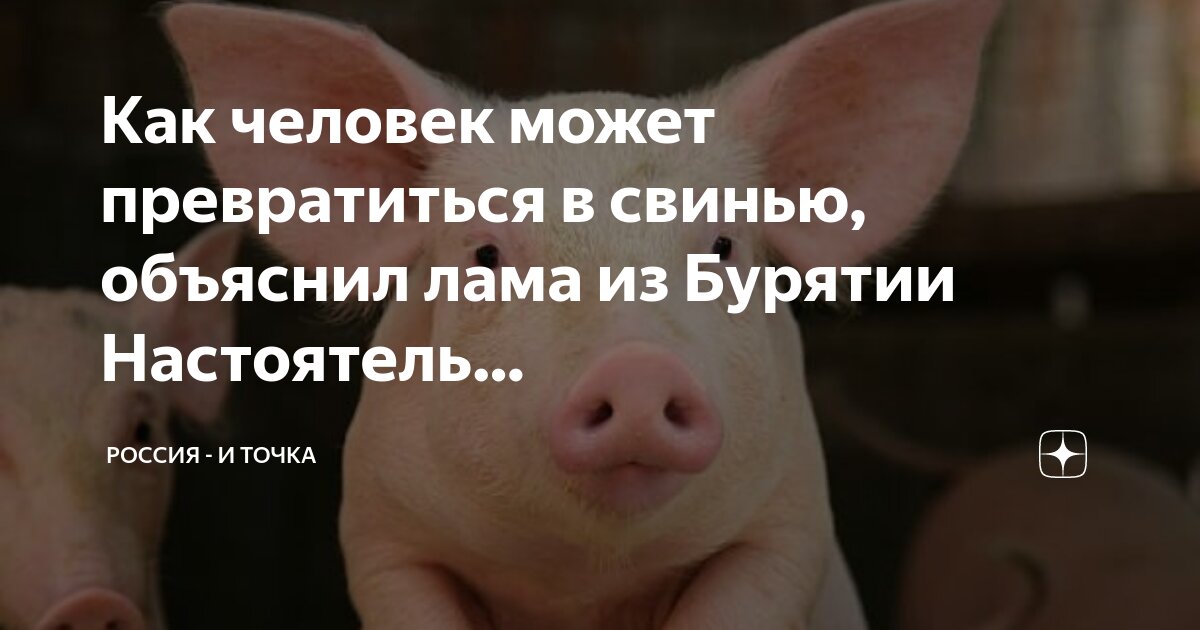 людей превратили в свиней