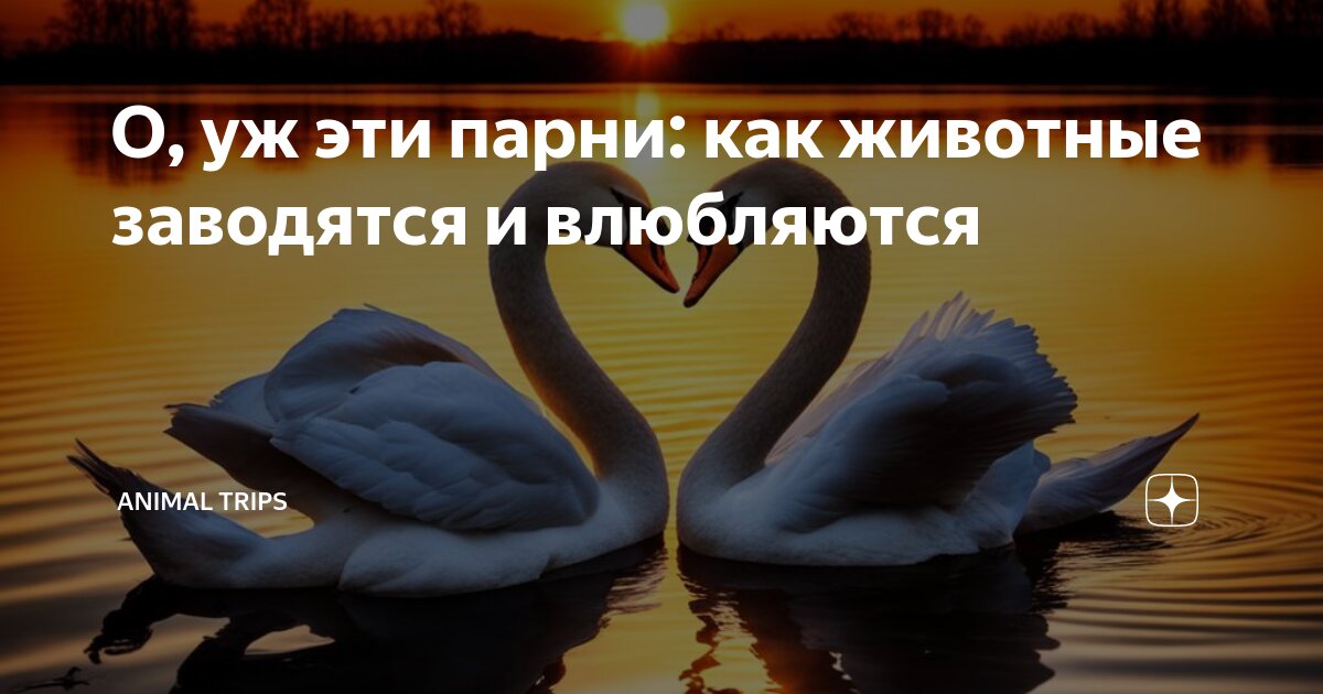 Меня заводит запах текст. Не твой мужчина стих. Тексты песен. Как пахнет любовь. Пахнет любовью.