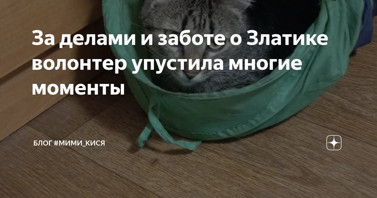 Заболел орви. Заболел. Прививки от гриппа инфографика. Много заболевших в китайских больницах. Очень много болеют сейчас.