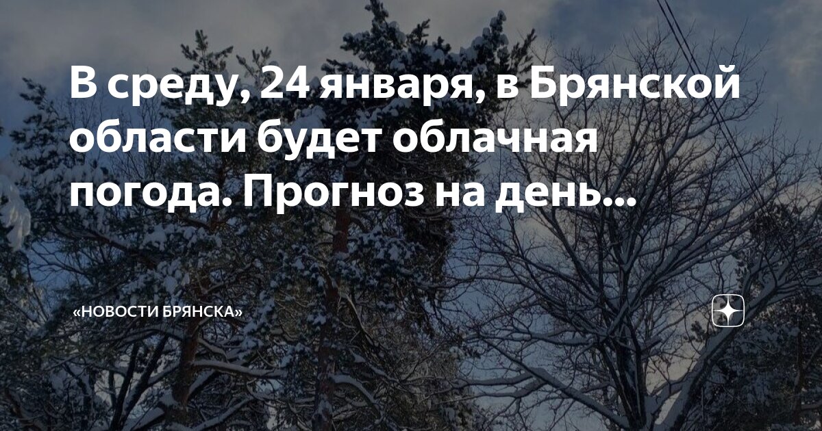 Погода сельцо брянская обл на 14 дней