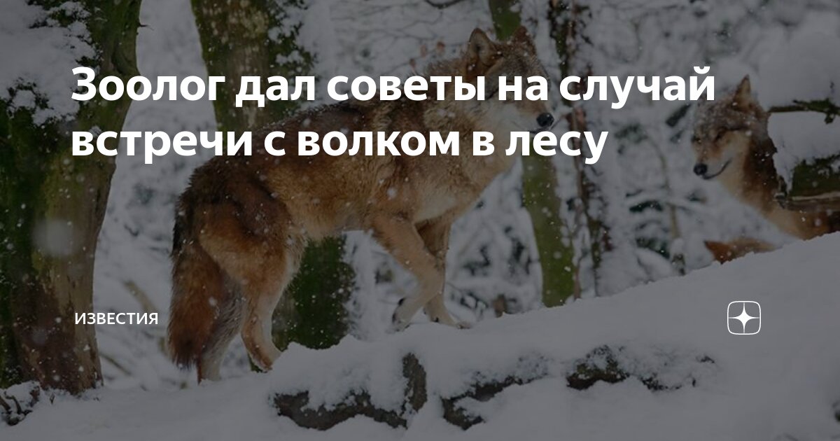 контактные данные. случая контактные данные. случая контактные данные. контактные данные предприятия. случая контактные данные.