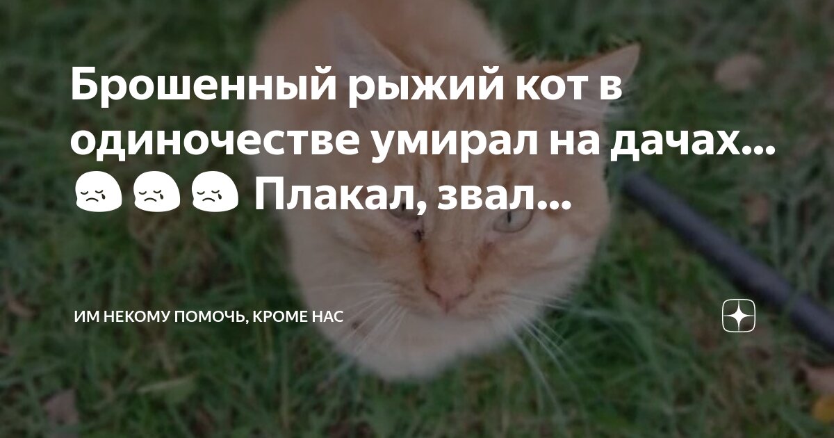 Иначе он в одиночестве