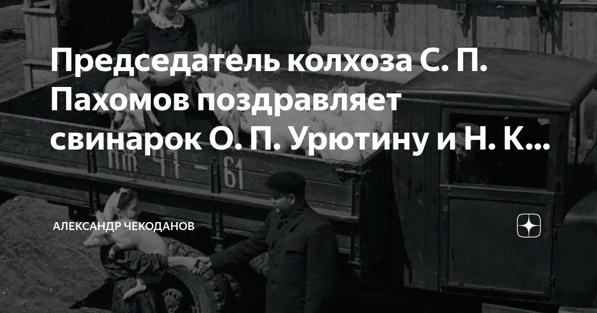 Это нам сегодня наш председатель дома прислал. Это нам сегодня наш председатель дома прислал. Карикатура садовое товарищество. Это нам сегодня наш председатель дома прислал. Это нам сегодня наш председатель дома прислал.
