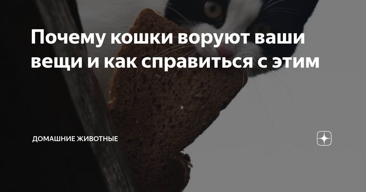 подросток ворует в магазине. что делать если украли ребенка. причины детского воровства. поговорки про воровство для детей. классный час на тему воровство.