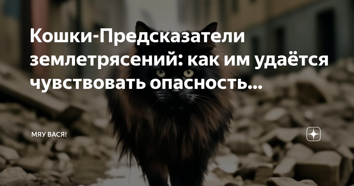 не обижайте животных стихи. цитаты про бездомных котов. что чувствует кошка или собака когда её обижают. стихи чтобы не обижать животных. кошкотерапия.