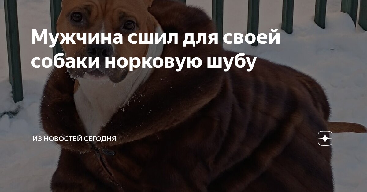 Зашить дырку на шубе. Зашить дырку на шубе. Ремонт шуб. Моль на норковой шубе. Порвался рукав на шубе подмышки.