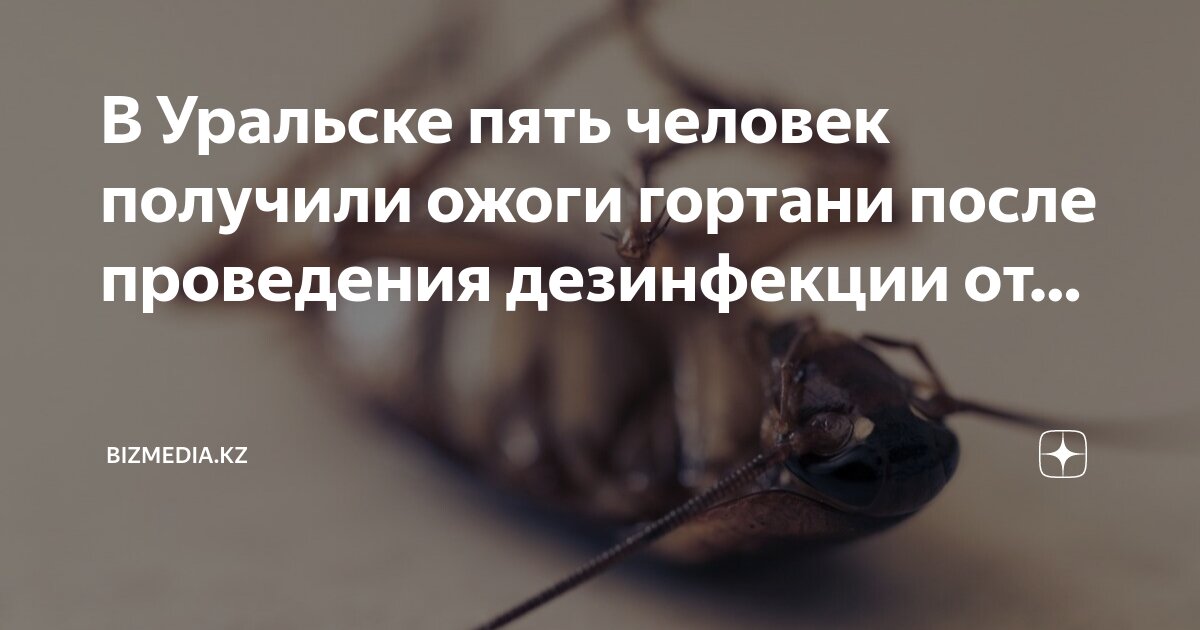 проведение дезинфекции кушетки