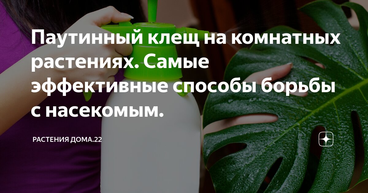 Какой метод борьбы наиболее эффективен. Методы борьбы с коррупцией. Решение проблемы международного терроризма. Биологические способы борьбы с вредителями. Профилактика вирусов.