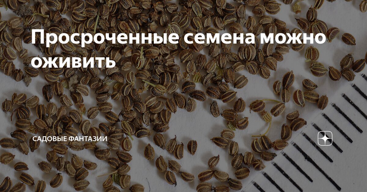 можно ли есть просроченный рис. хранение риса. маленькие белые червячки в рисе. жучки в крупах. можно ли есть просроченный рис.