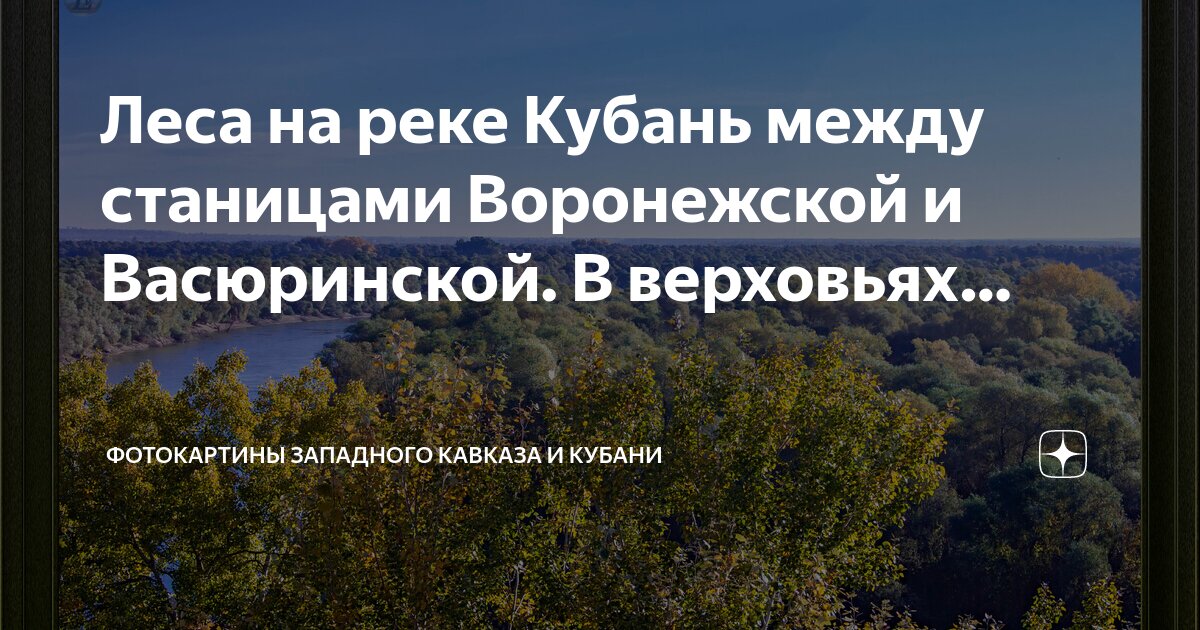 Сетевой город 71 тульская. Сетевой город станица васюринская. Сетевой город образование. Сетевой город. Сетевой город алтайский край 22.