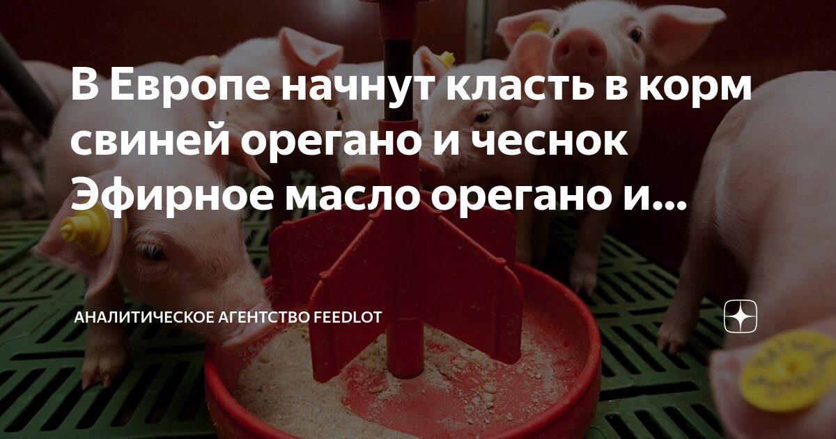 качество свиноматок. качество свиноматок. хозяйственно-биологические особенности крупного рогатого. рыхлый тип конституции у свиней. учет и оценка мясной продуктивности свиней.