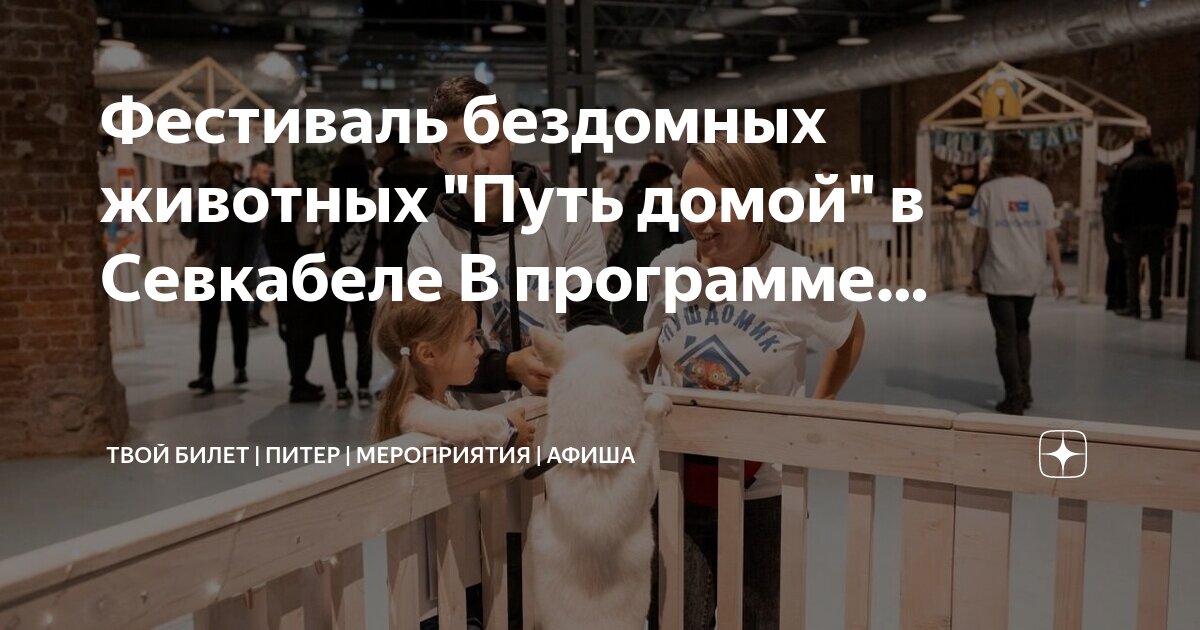 Мероприятие жизнь животных. Мероприятие жизнь животных