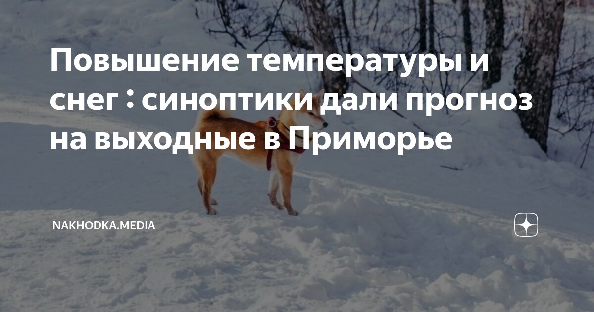 лудогорец форма. словения марибор гривны в евро. приморье марибор прогноз. клубы словении. марибор - радомлье.