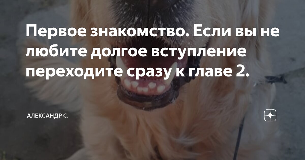 кредит долг по наследованию. дарственная долги переходят. дарственная долги переходят. прощение долга и договор дарения. оспорить дарственную на квартиру.